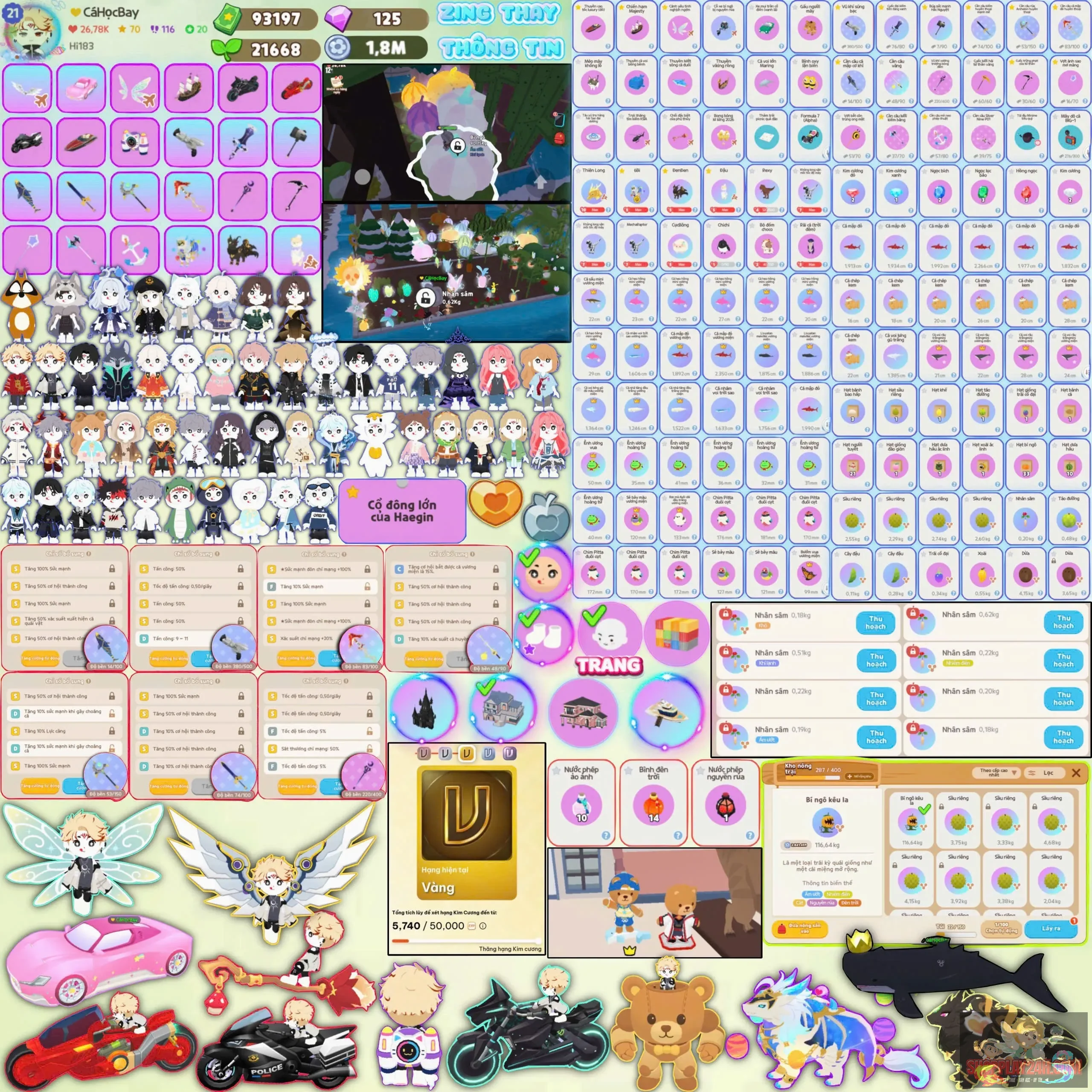 Khách pass lại acc