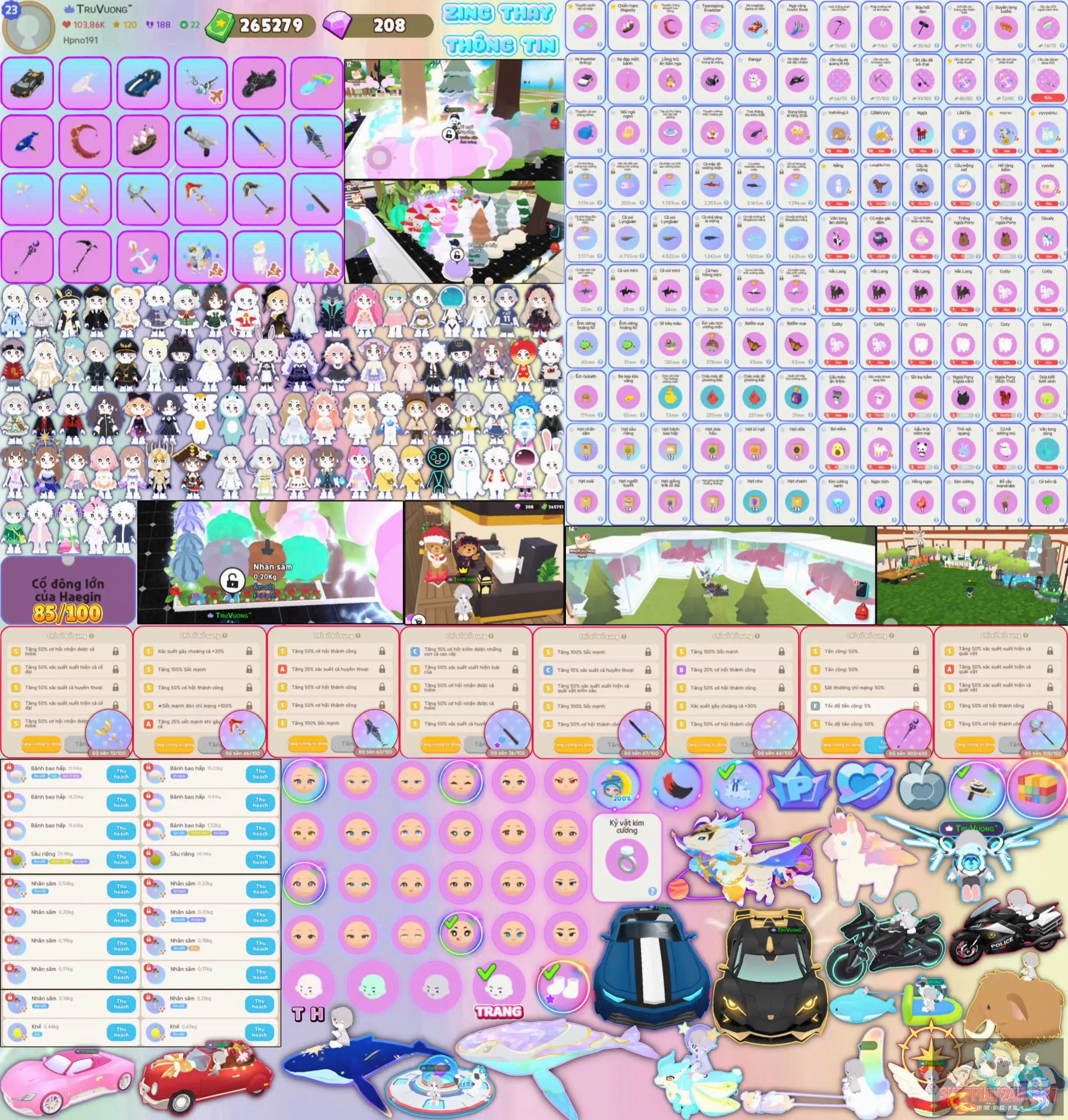 Account Image