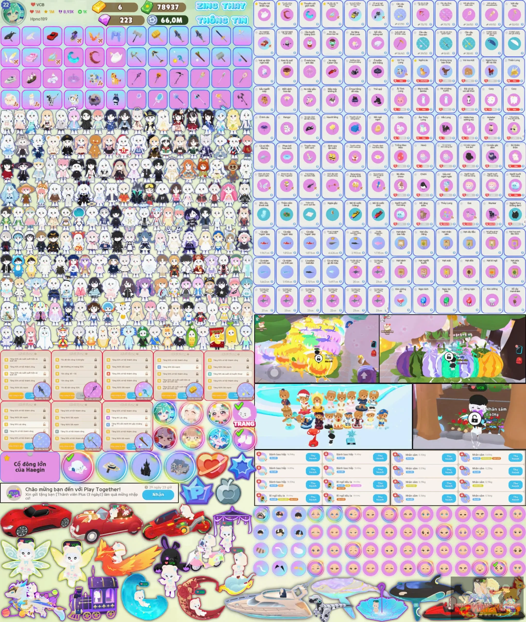Account Image