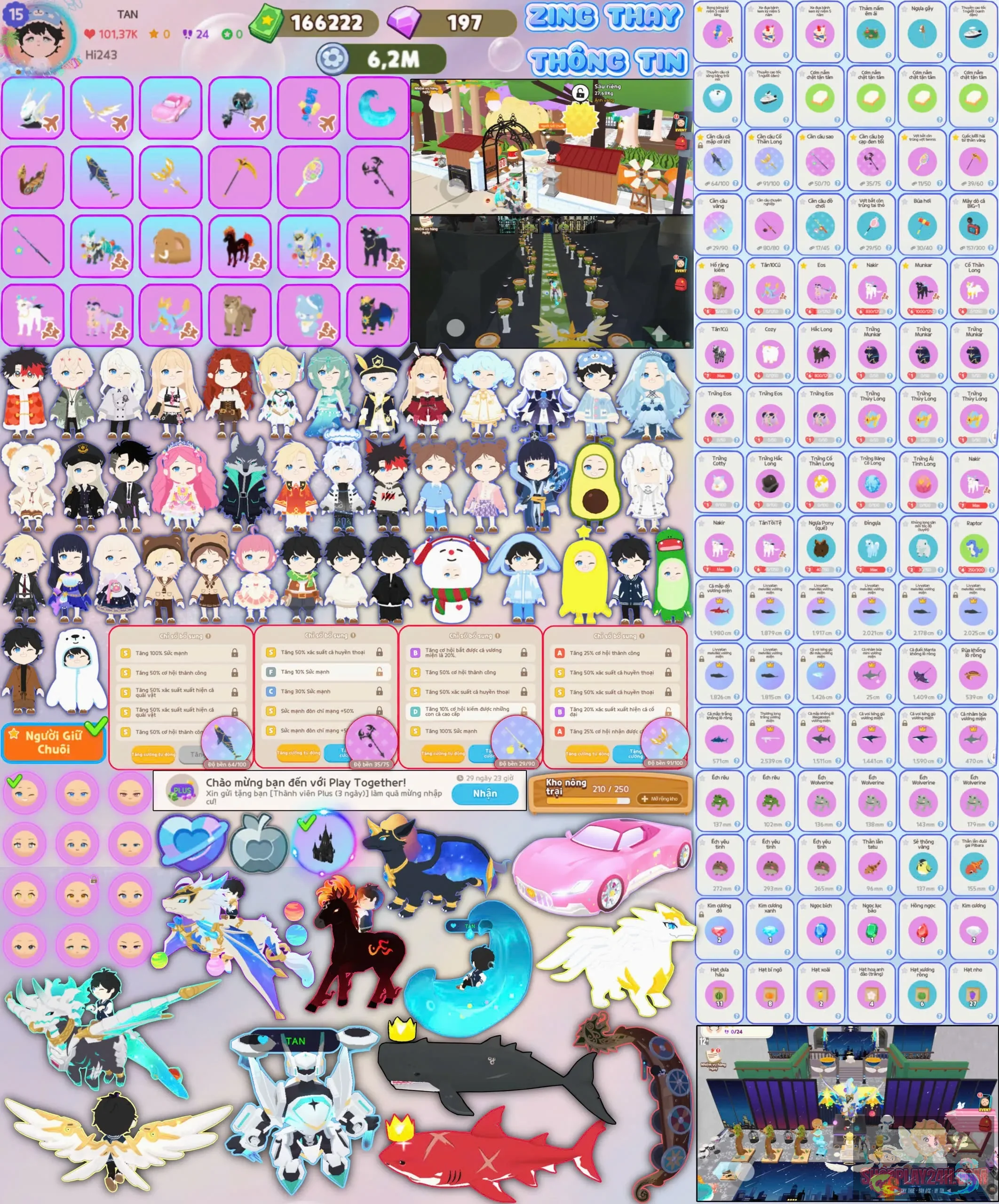 Account Image