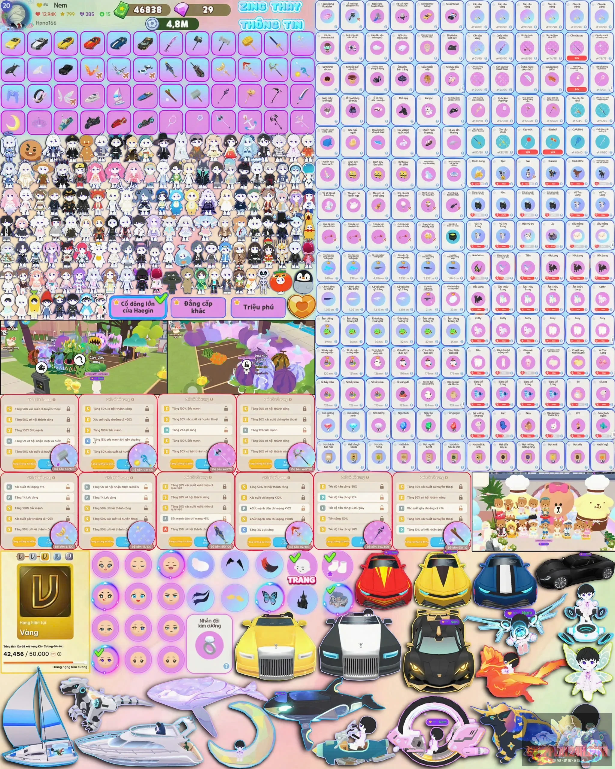 Account Image