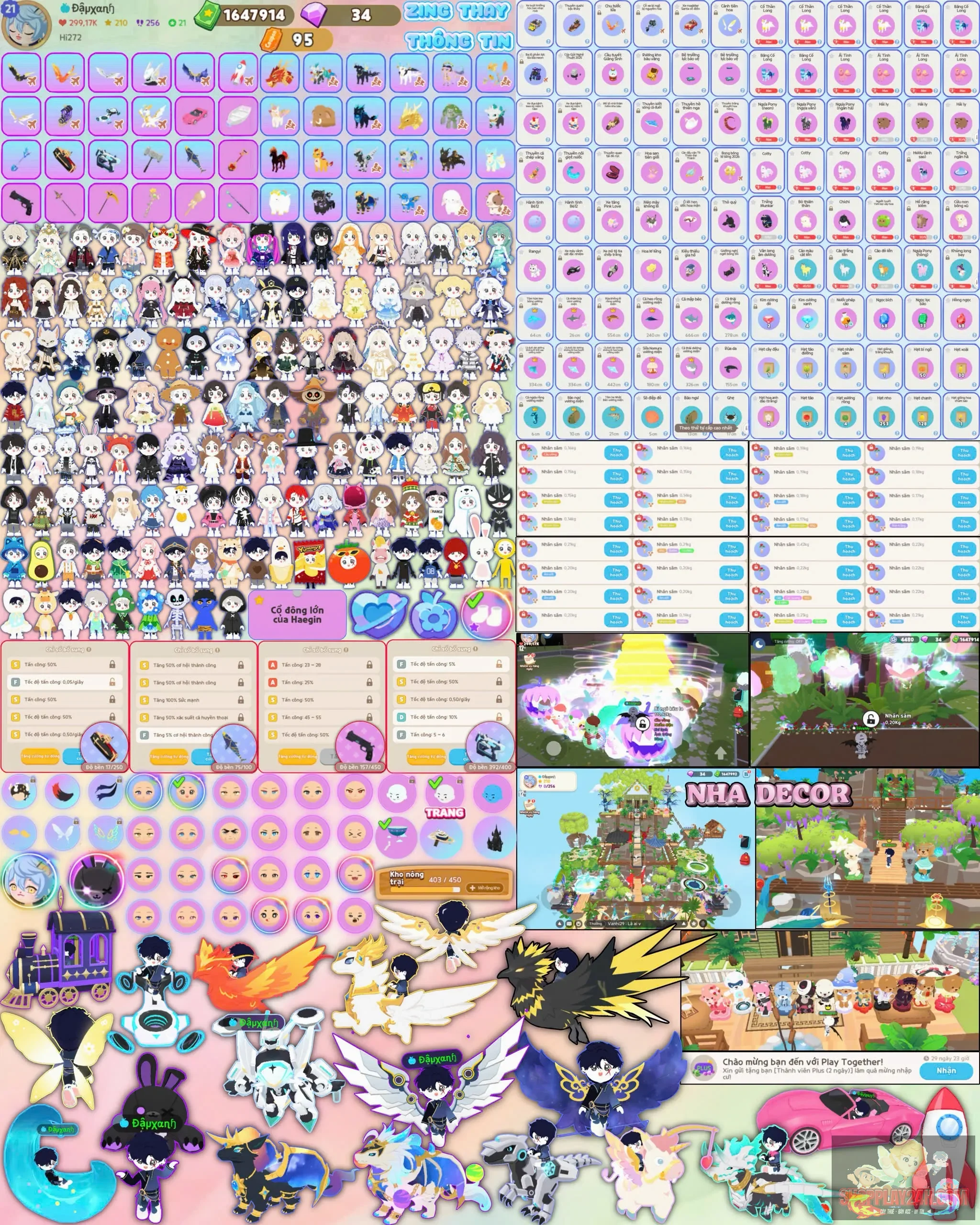 Account Image