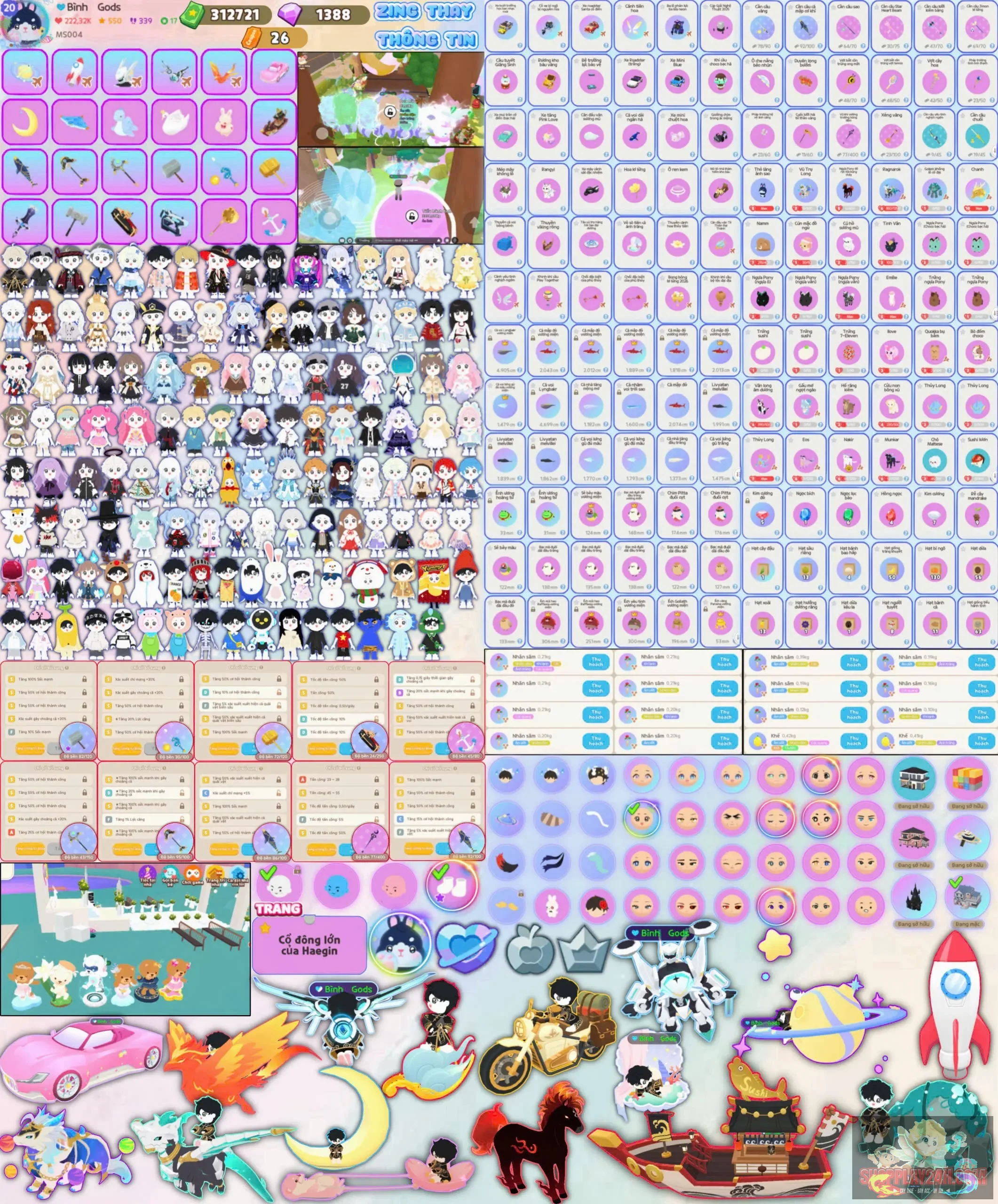 Account Image