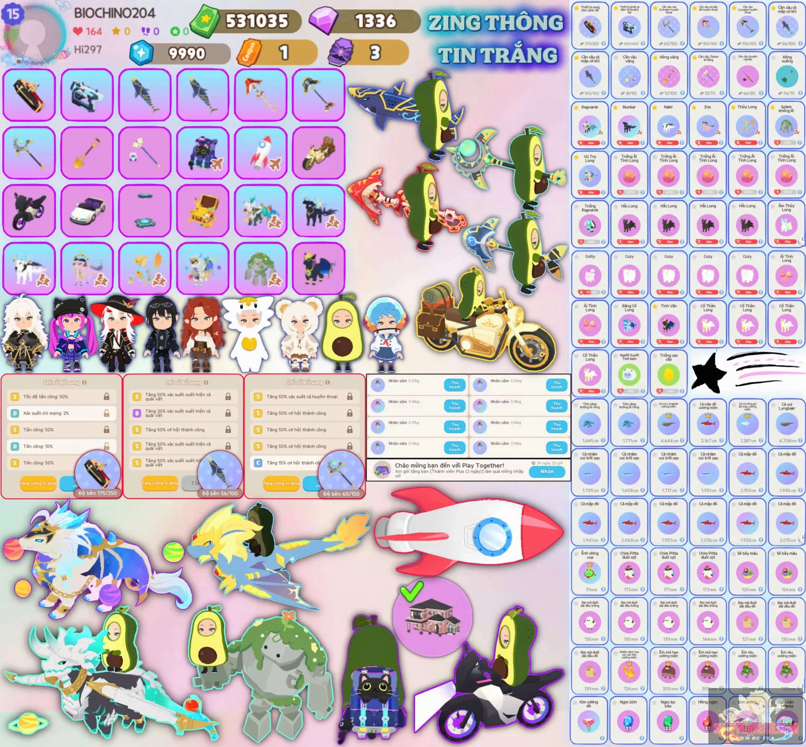 Account Image