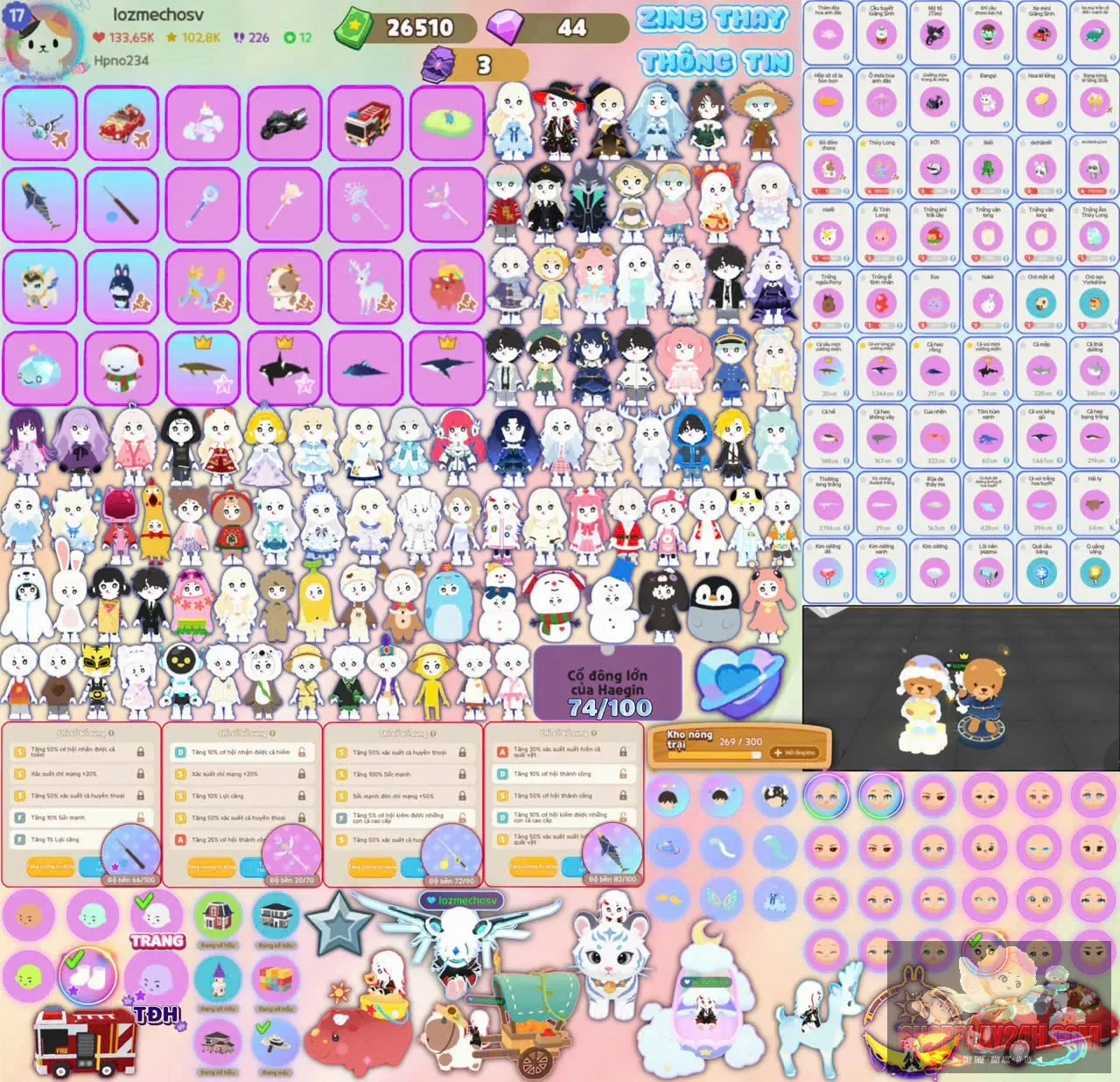 Account Image