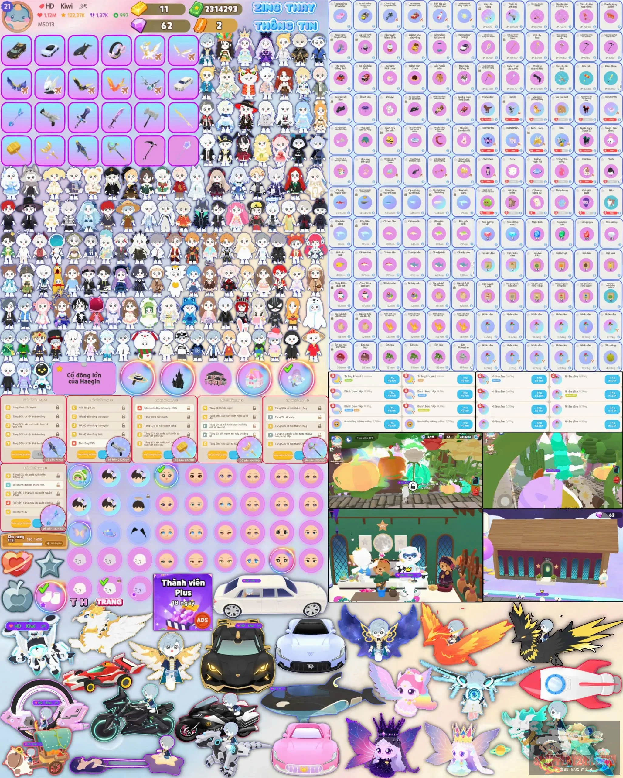 Account Image