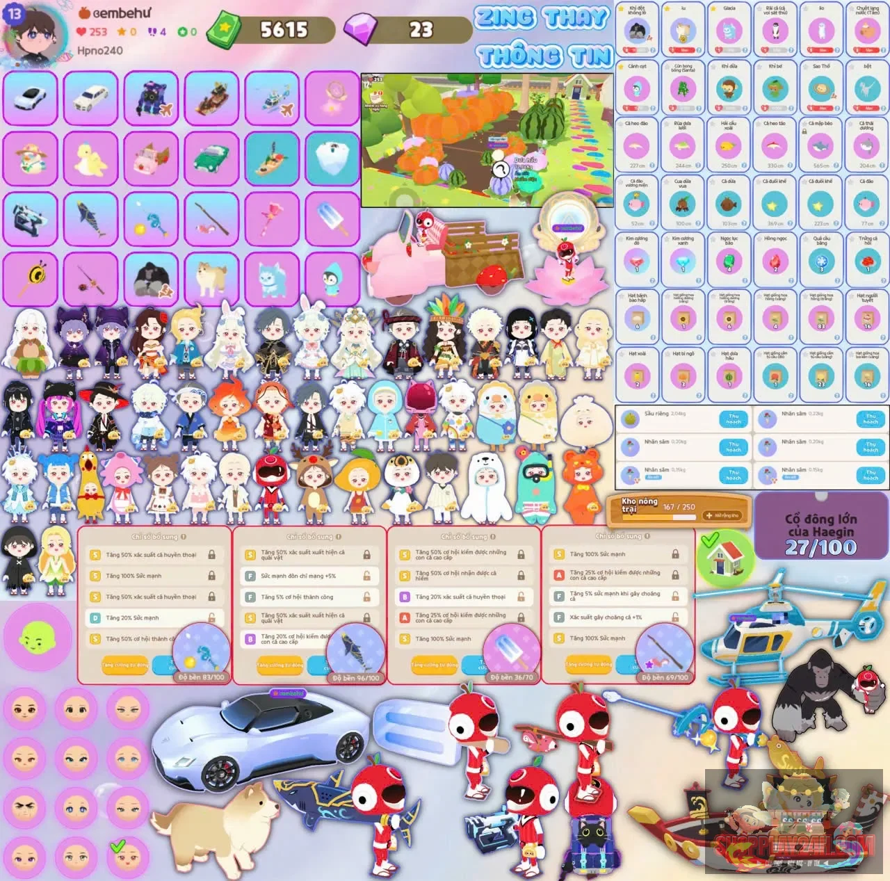 Account Image