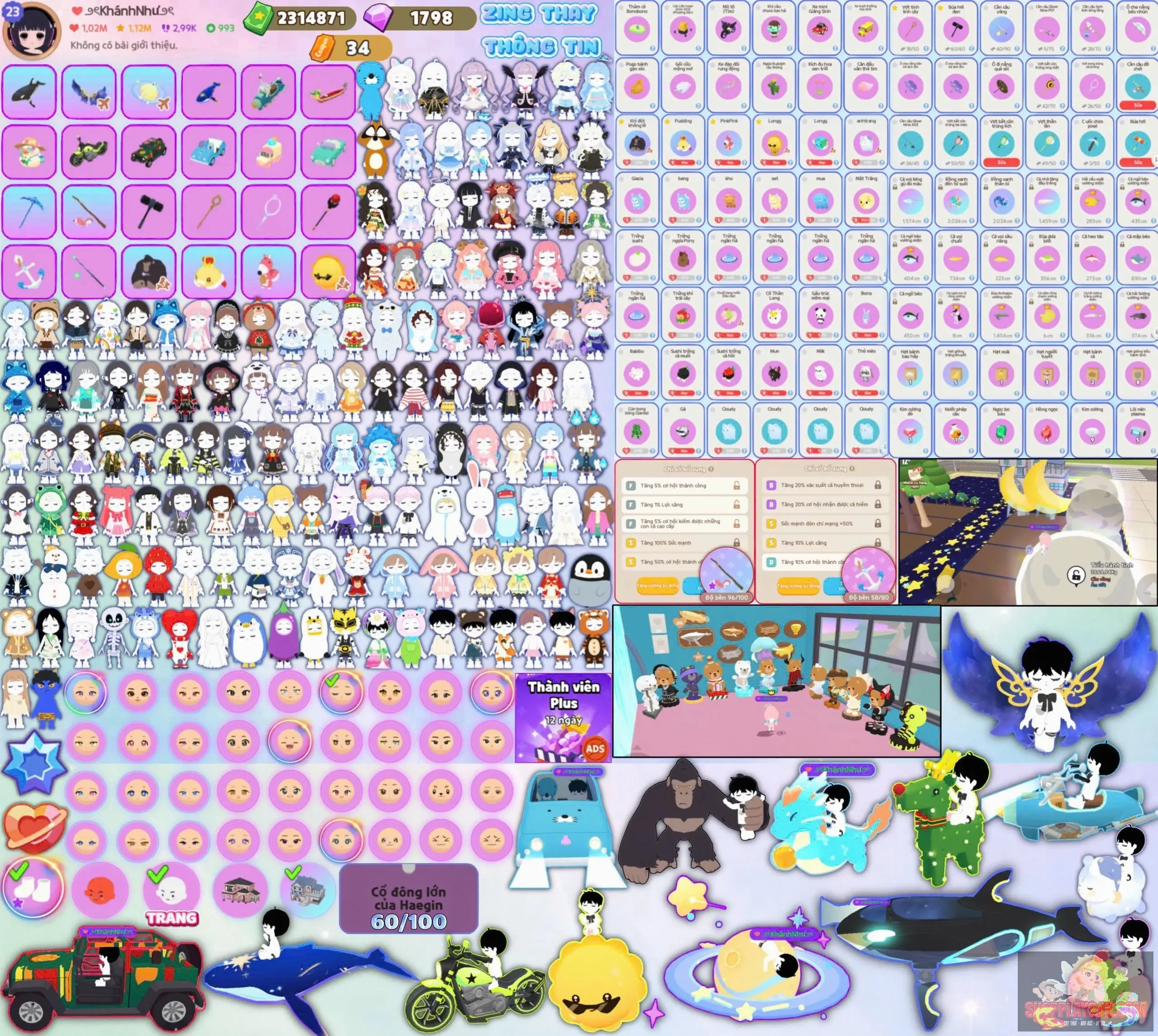 Account Image