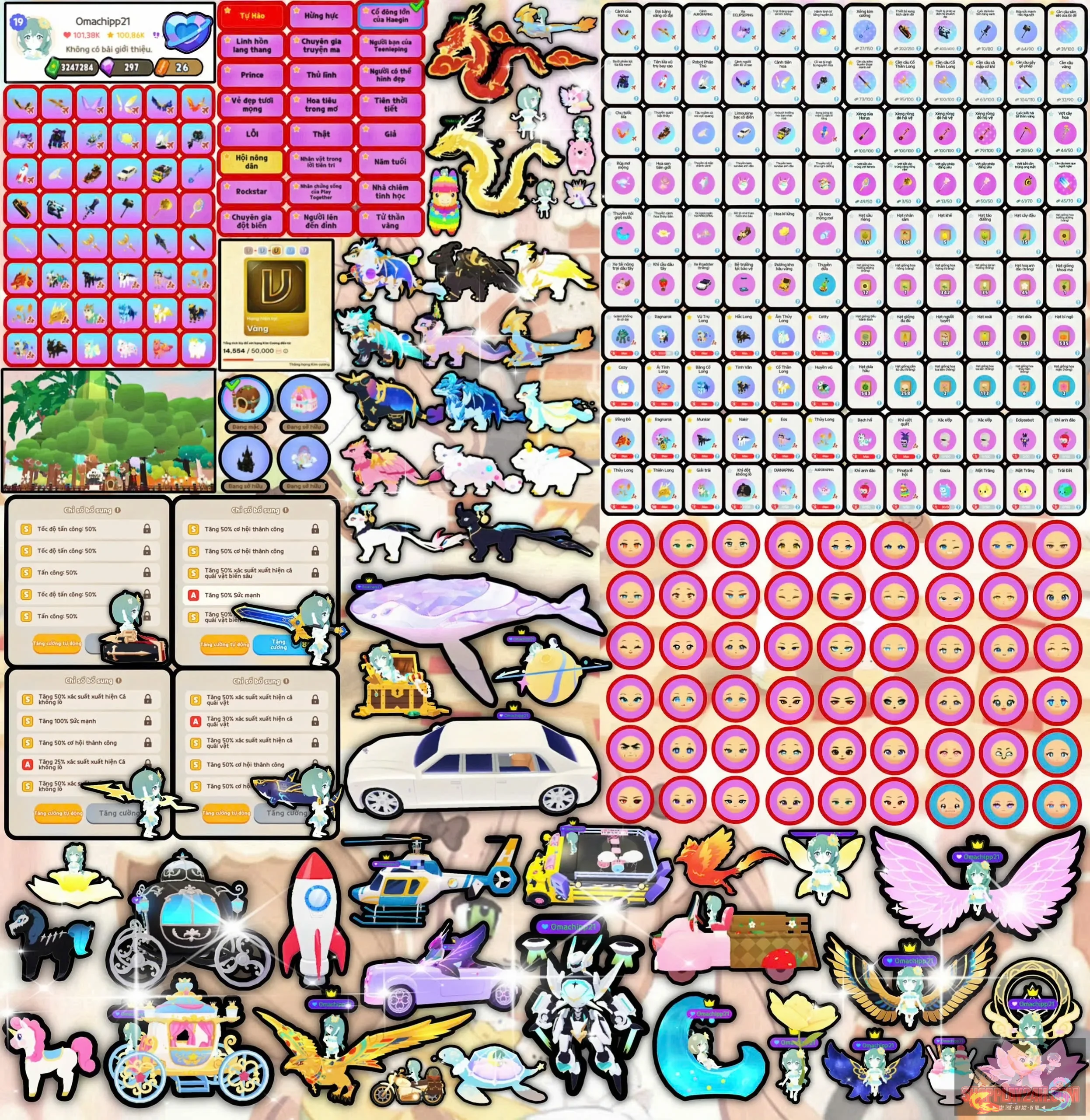 Account Image