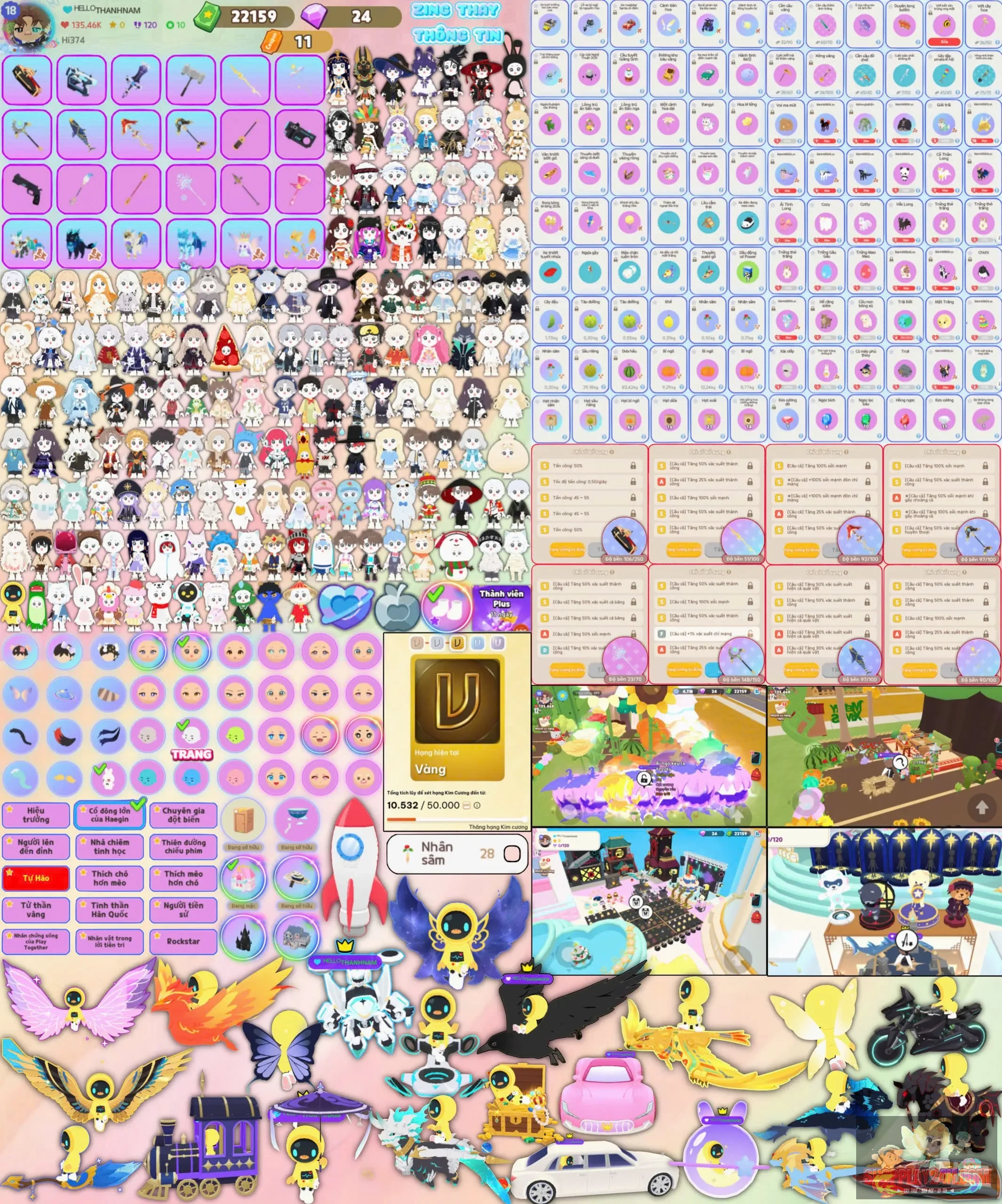 Account Image