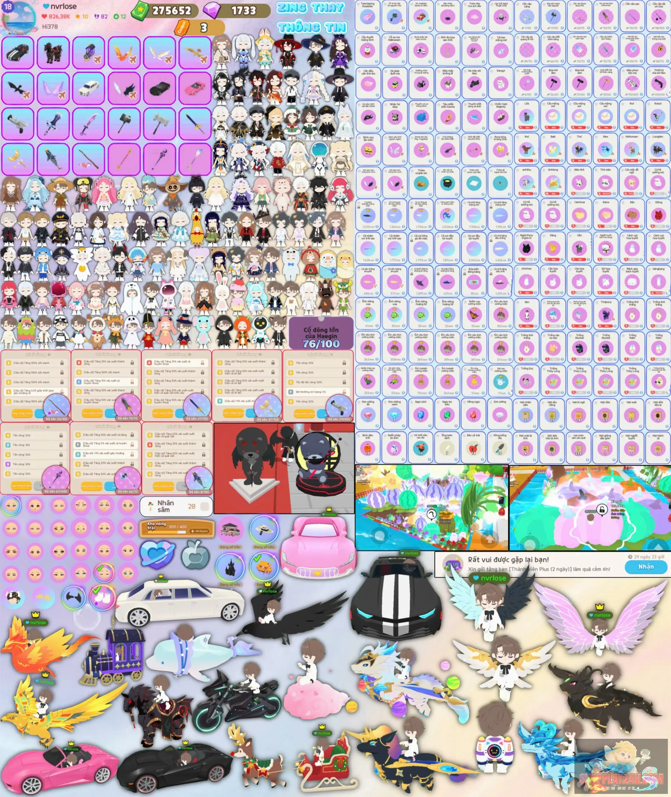 Account Image