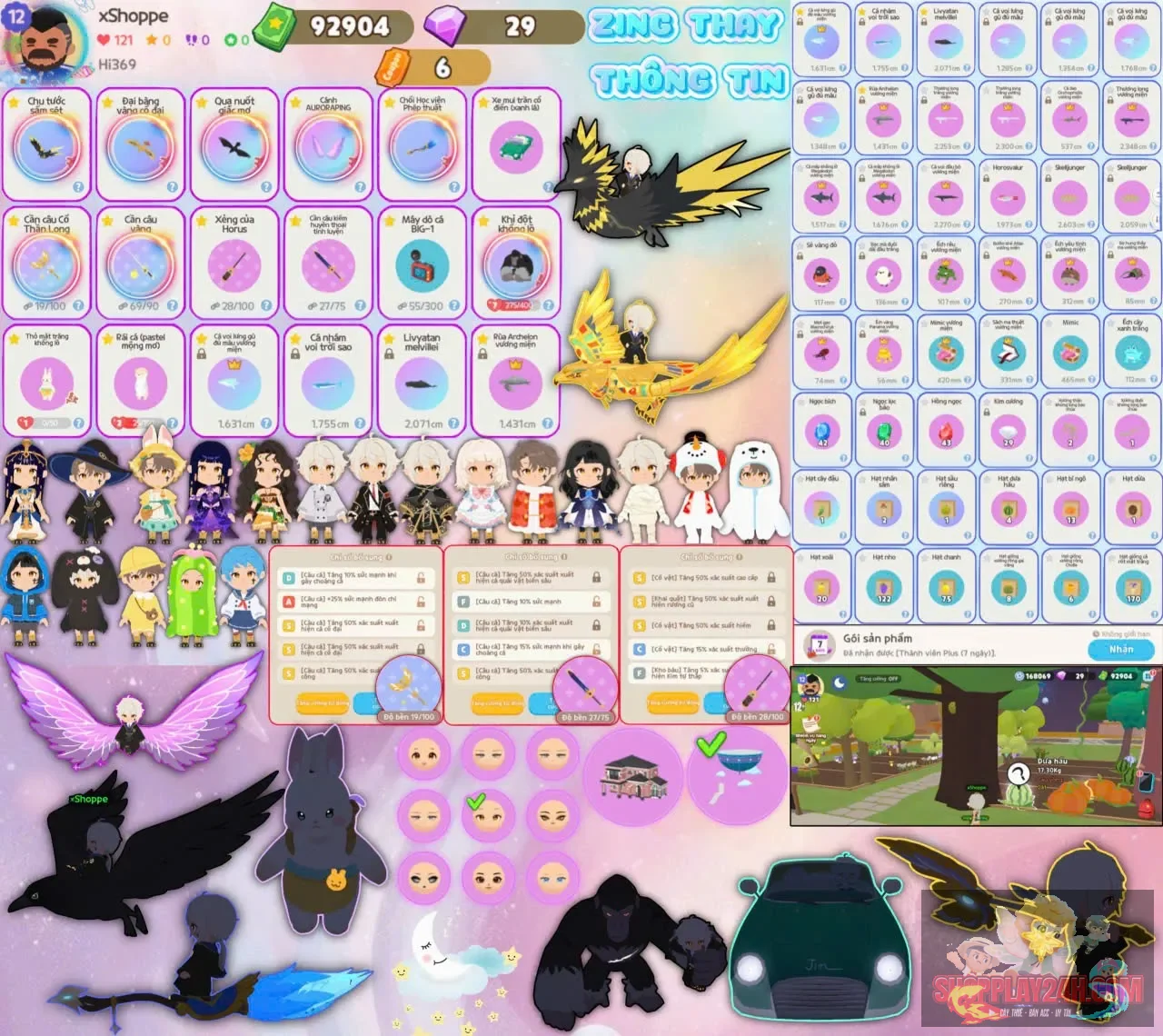 Account Image